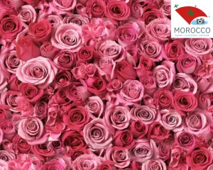 National Rose Festival of El Kelaâ M'Gouna