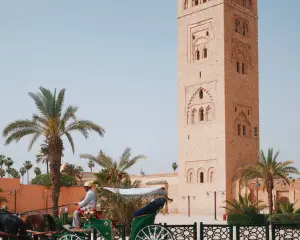 adventurous things to do in marrakech